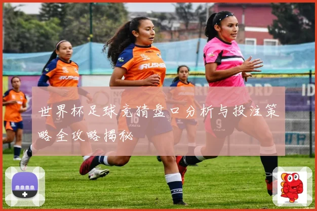 世界杯足球竞猜盘口分析与投注策略全攻略揭秘